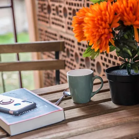 Apartment Lumineux - L'authentique - Centre